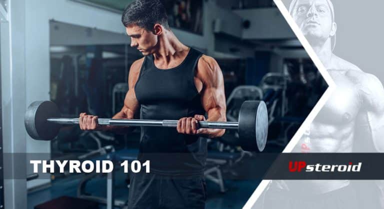 štítná žláza 101