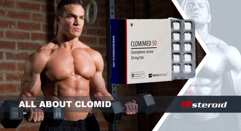 vše o klomidu UP