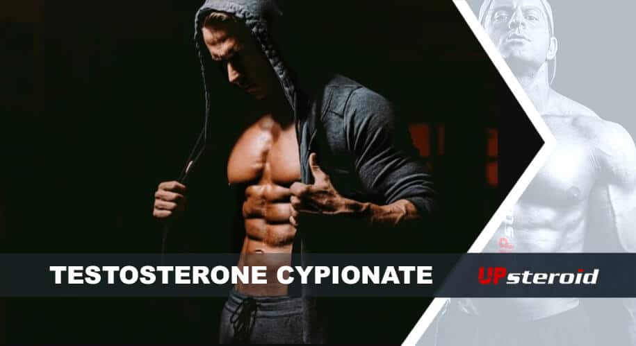 blog testosteron-cypionát pro kulturistiku