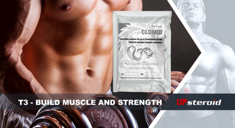 blog t3 budování svalové síly