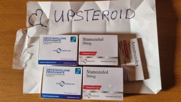 2022 08 10 62f3ea7c2293a WhatsAppImage2022 08 04 v 19.57.31