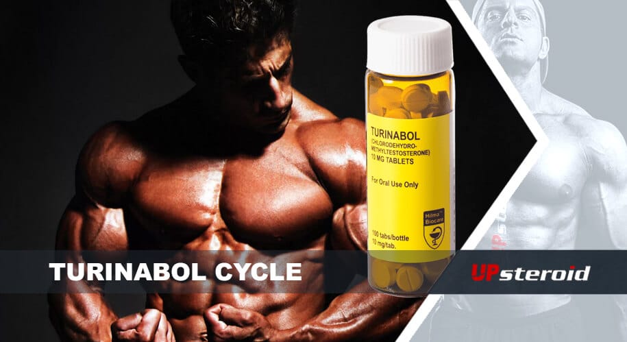 nahoru blog turinabol cyklus