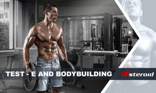 test blogu e kulturistika