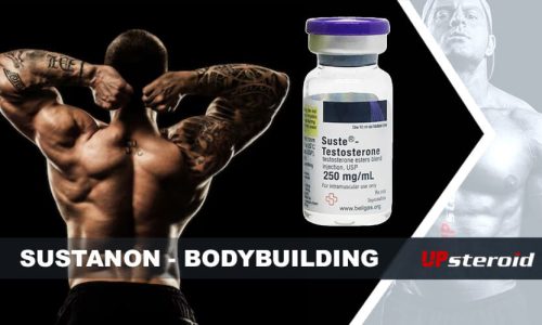 blog susta bodybuilding