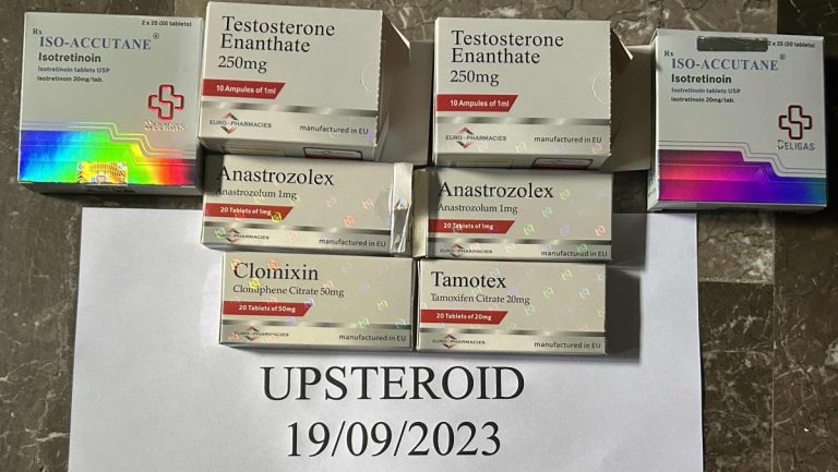 19. 9. 2023 6509aaee3493f Obrázek 29651