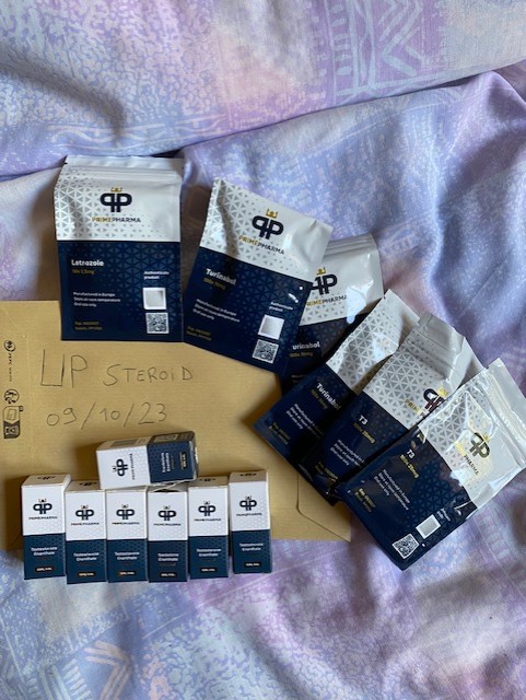 2023 10 09 6523cafb403d8 náhledový obrázek IMG 0839