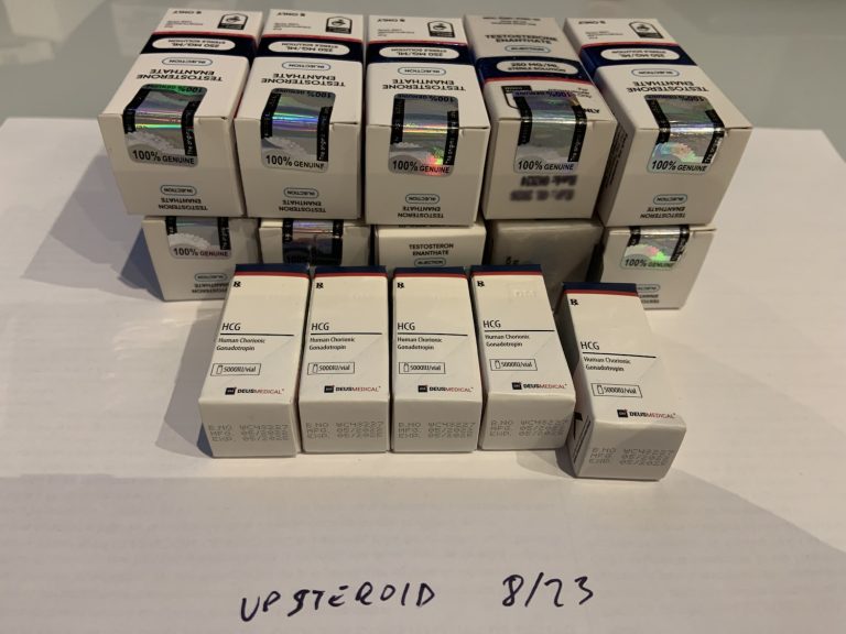 2023 10 31 65413bac63c2f Fotografie31 10 23183708