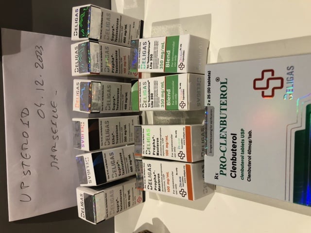 2023 12 08 6572fd6552e42 obrázek0