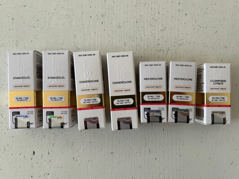 2024 02 12 65ca6799e5779 2 Foto 26.11.23