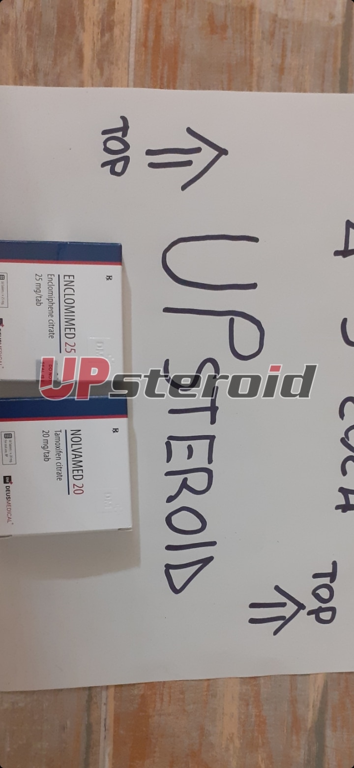 2024 03 04 65e635ce1c044 Snímek obrazovky 20240304 215539 Galerie