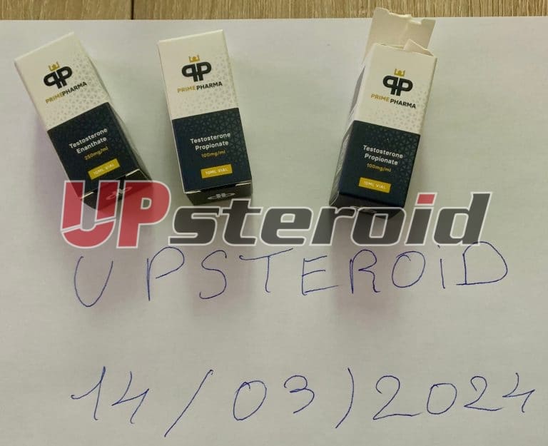 14. březen 2024 65f32c2317893 Obrázek 90472