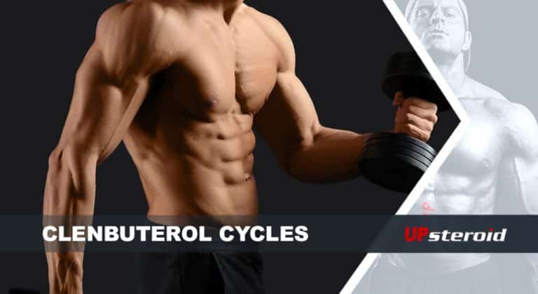 nahoru blog clenbu cyklus