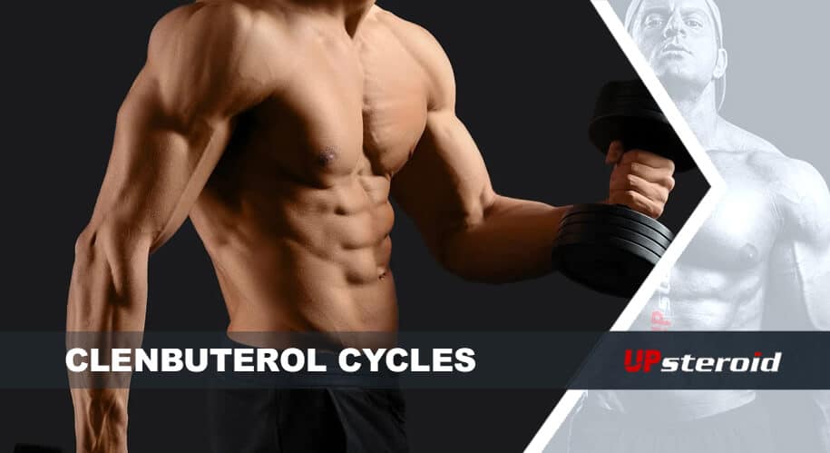 nahoru blog clenbu cyklus