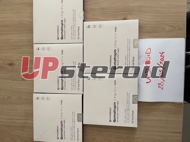 28. května 2024 6655d1ba0ac85 Obrázek 0123
