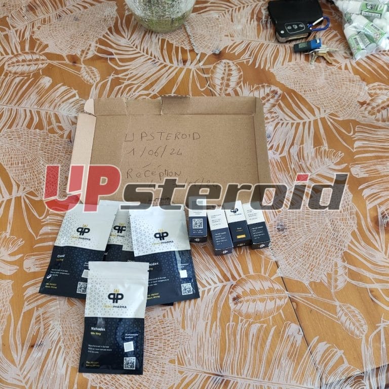 2024 06 07 6662fd9e025fd média 1717763148545