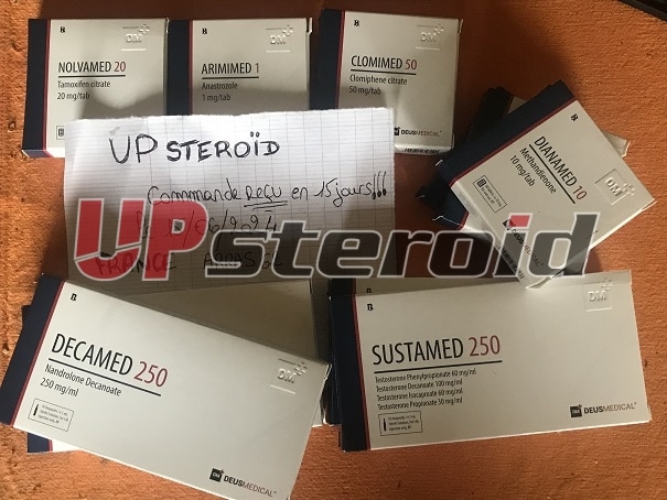 16. 6. 2024 666eeca42ad16 lou00008