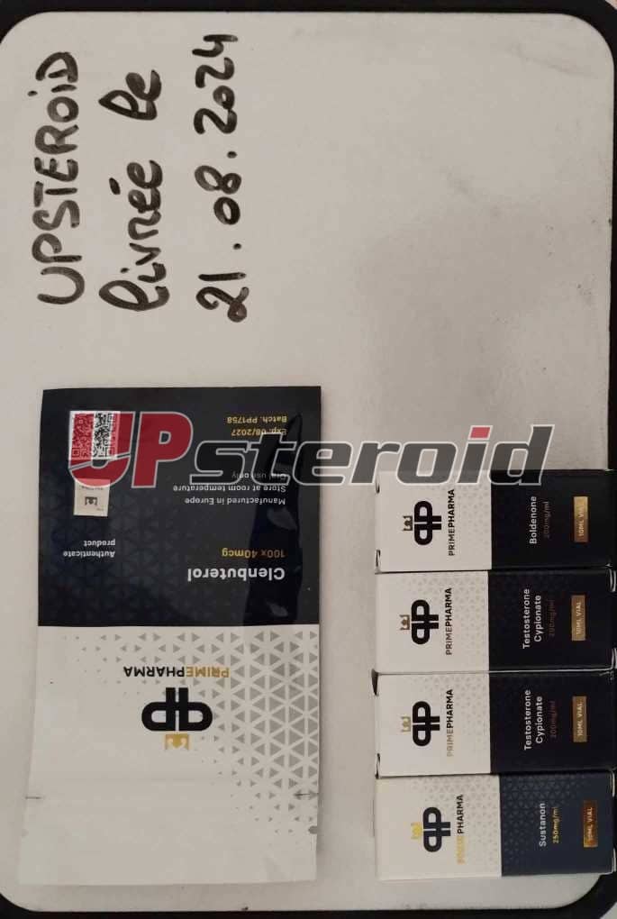 2024 08 22 66c7402ccfb7 Vytvoření Messengeru 0d43f1c6 18cf 4778 899a 755a60d58aa1