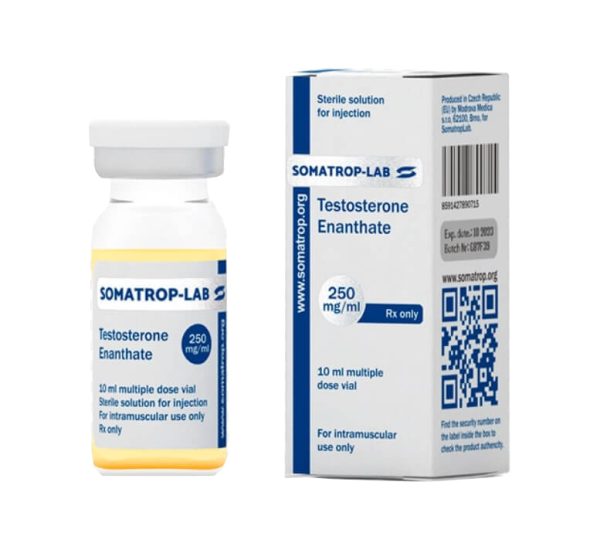 testosteron enanthát 250 somatroplab