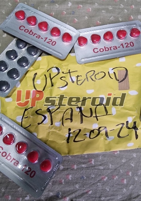 2024 09 12 66e380642c4ba retuš 2024091301554147