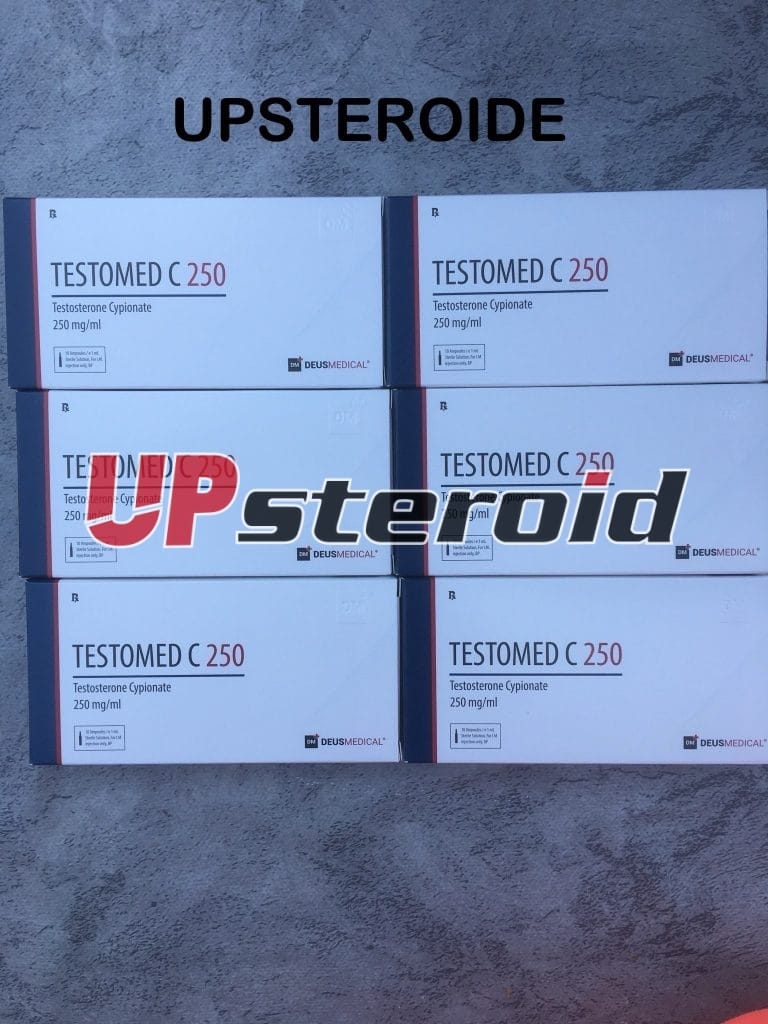 27. 9. 2024 66f6b0ef67b4b fotografie 1