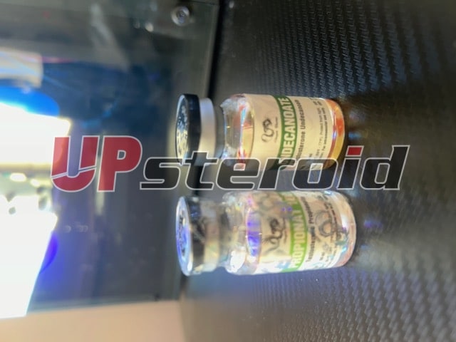 2024 10 04 67001e7cae5e0 OBRÁZEK 0069