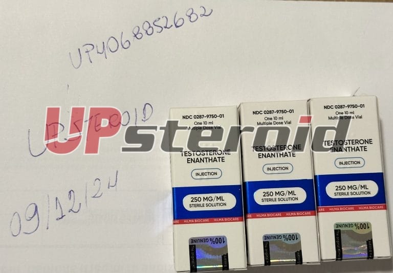 2024 12 09 675748ec27023 OBRÁZEK 6790