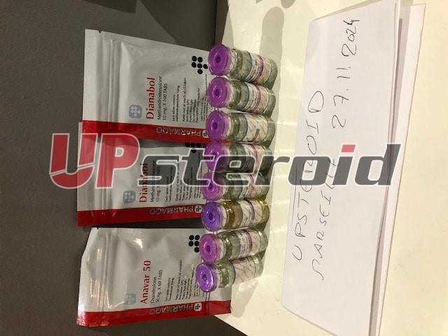 2024 12 13 675bedb2ee798 OBRÁZEK 5201