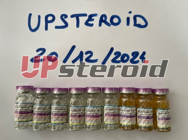 2024 12 20 67657a3328598 IMG 4699