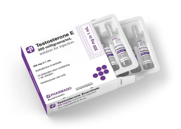 Pharmaqo TESTOSTERON E ampule