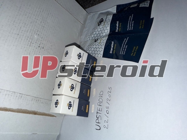 26. května 2025 68345fe1df6f2 obrázek0