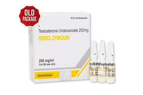 TESTO ZYBOLIN Testosteron Unde 250 mg 1×10 1