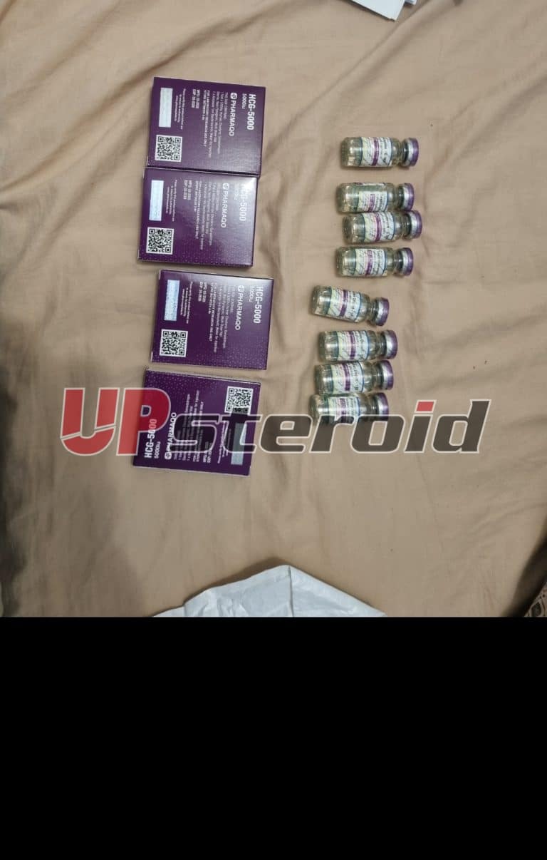 2025 08 04 68913be446f01 Snímek obrazovky 20250805 010032 Galerie