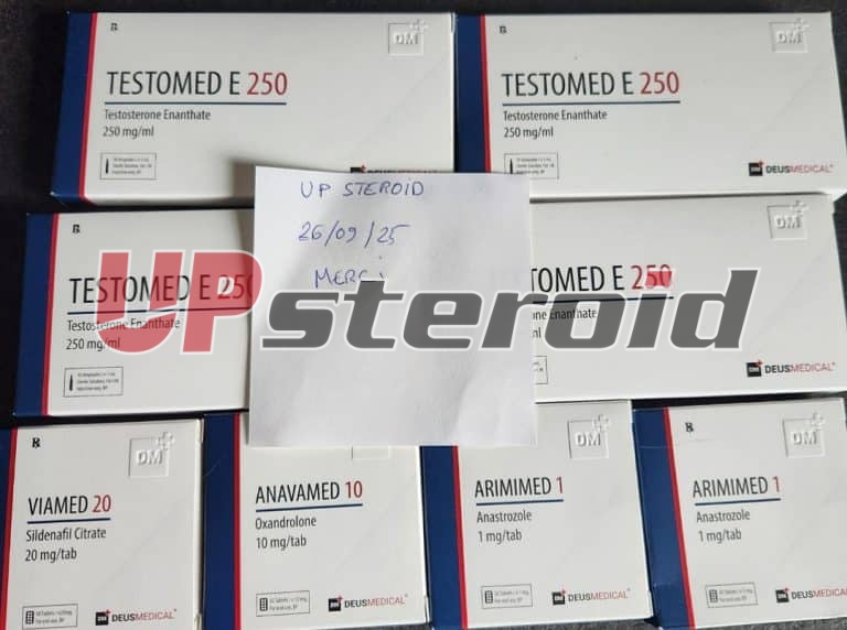 2025 10 04 68e0dbe73d33e IMG 20251004 102809 1080 x 805 pixelů