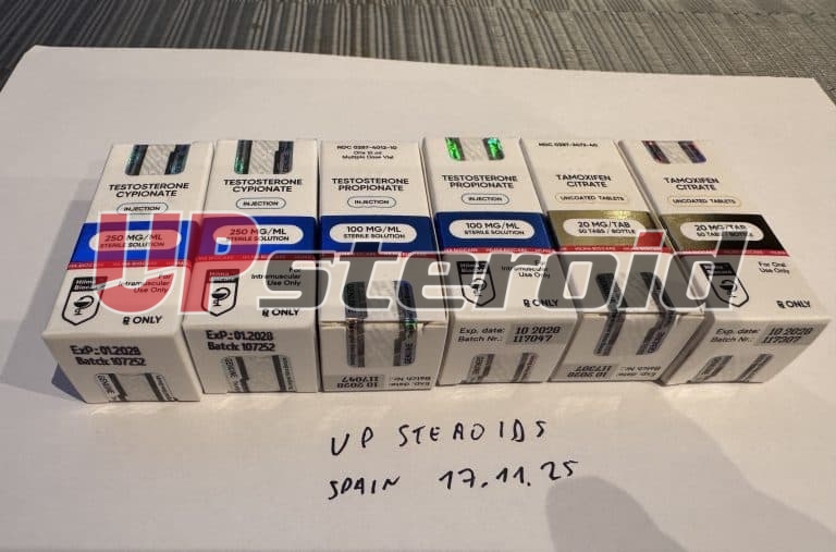 2025 11 24 6924a699ecc1e Fotografie22 11 25211711