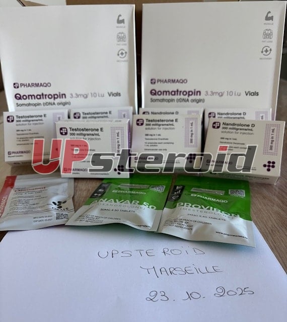 2025 11 26 6926b03e0cc2f OBRÁZEK 4514