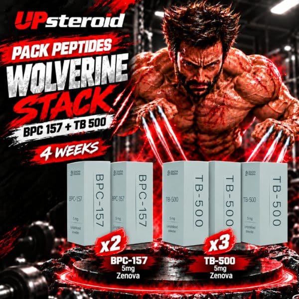 Pack Peptides Wolverine Stack (BPC 157 + TB 500) 4 semaines - ZENOVA
